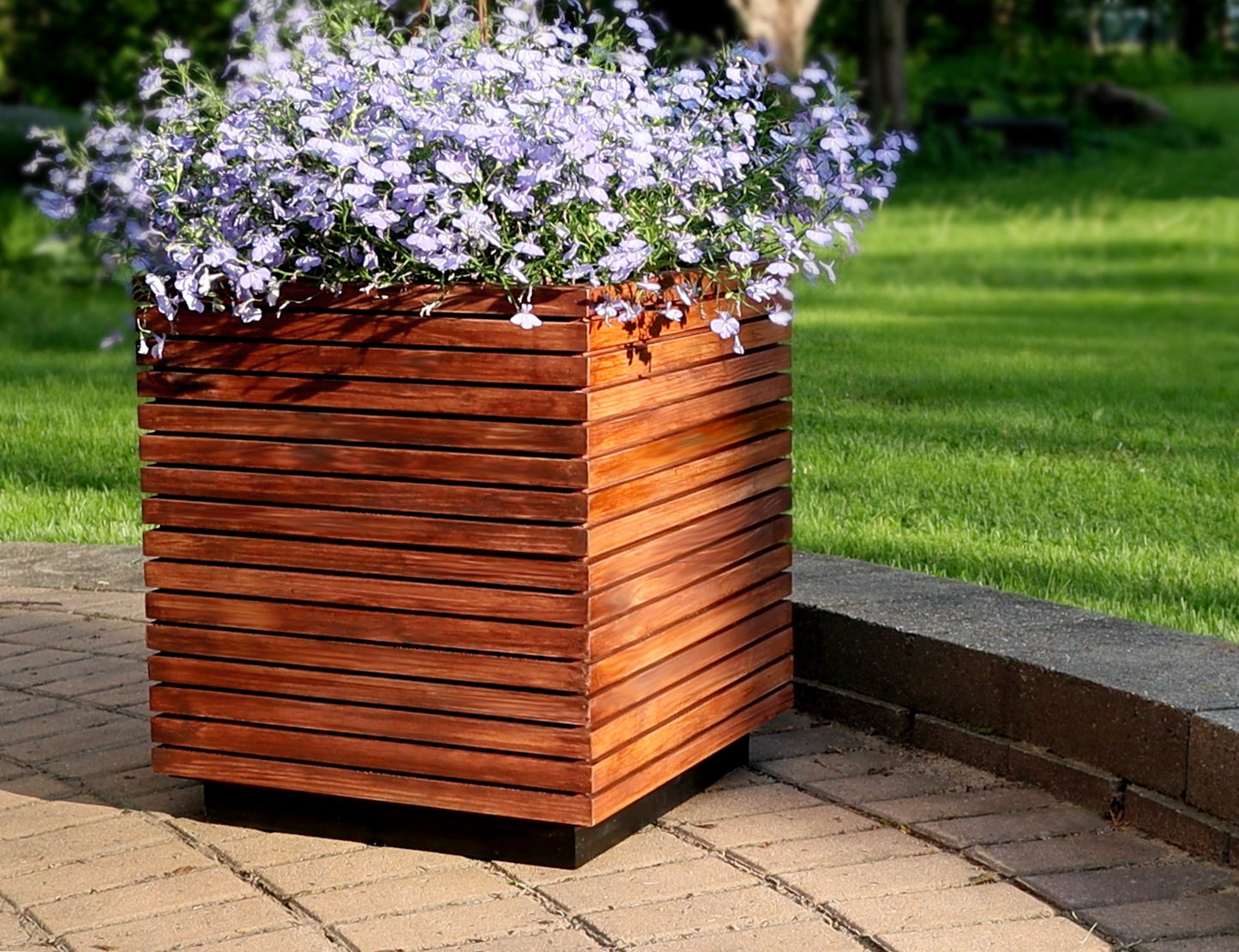 Modern Raised Planter Box